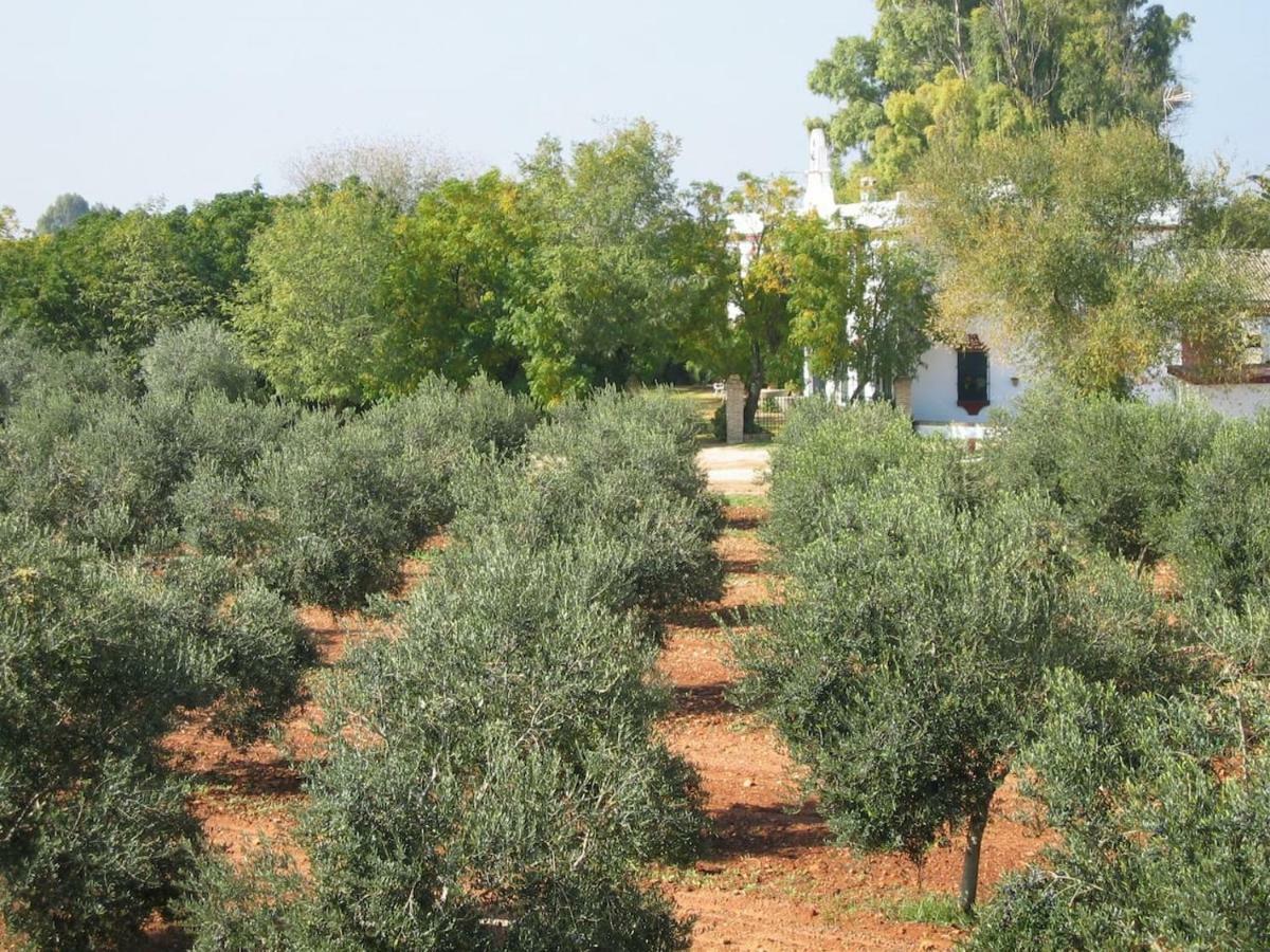 Hacienda Chambergo Casa En La Campina Sevillana Ecija Bagian luar foto